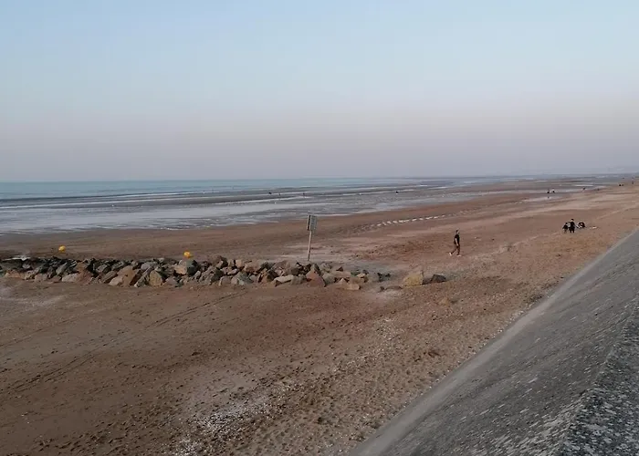 Bel Avec Vue Sur L'hippodrome *